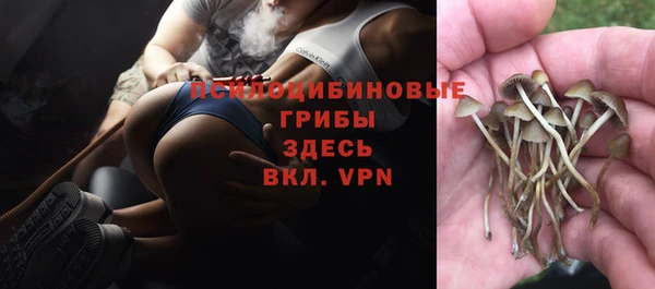 скорость Зерноград