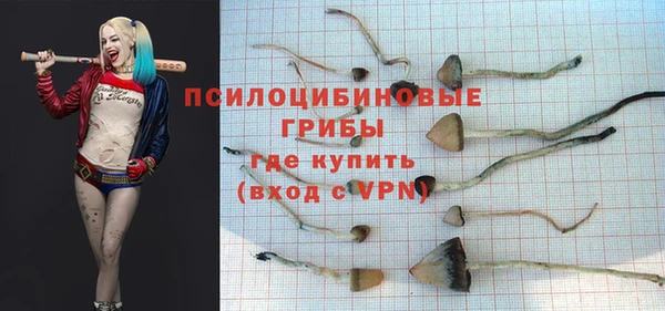 спайс Щигры